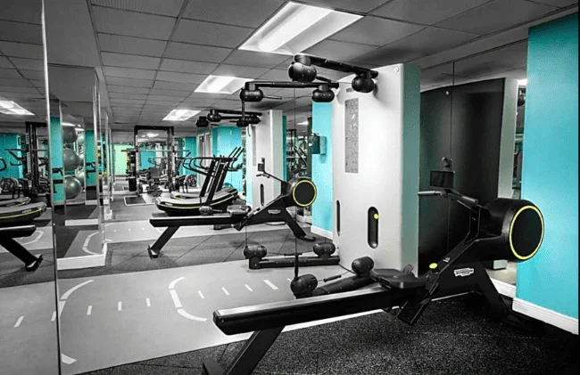 Untitled-design-24-1